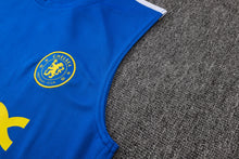 Chelsea 2627 Sleeveless Training Kit