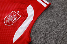 Spain 2627 Sleeveless Training Kit 2